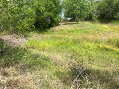 Country Living Home Site in  Live Oak County, TX - image 9