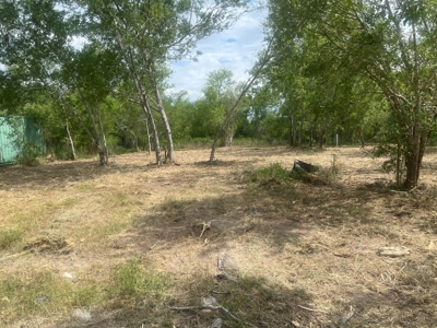 Country Living Home Site in  Live Oak County, TX - image 6