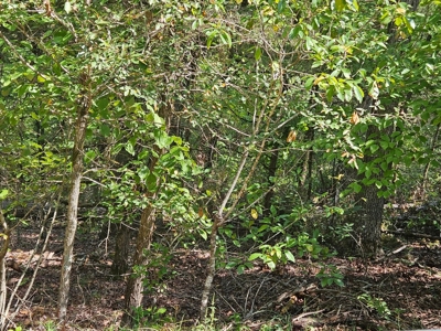 Lake & Golf Community Lots by Bull Shoals Lake in Missouri - image 5