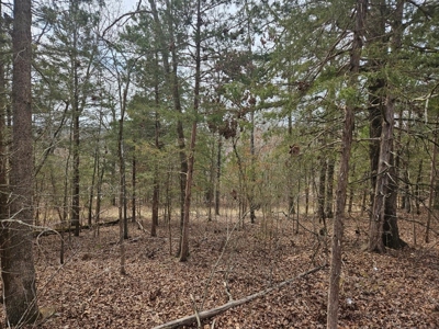 Lake & Golf Community Lots by Bull Shoals Lake in Missouri - image 19