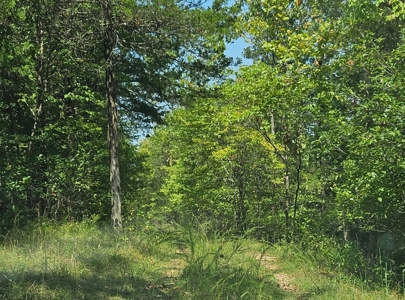 Lake & Golf Community Lots by Bull Shoals Lake in Missouri - image 11