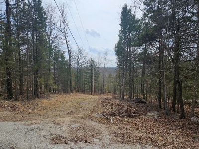 Lake & Golf Community Lots by Bull Shoals Lake in Missouri - image 18