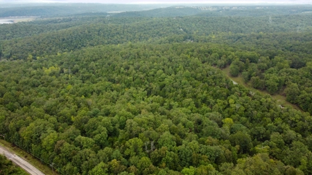 Lake & Golf Community Lots by Bull Shoals Lake in Missouri - image 3