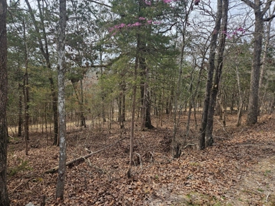 Lake & Golf Community Lots by Bull Shoals Lake in Missouri - image 17