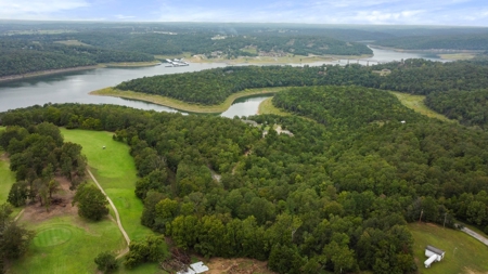 Lake & Golf Community Lots by Bull Shoals Lake in Missouri - image 4