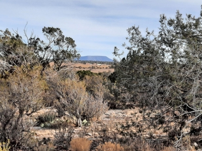 Remote Northern Az Off Grid Propety - image 11