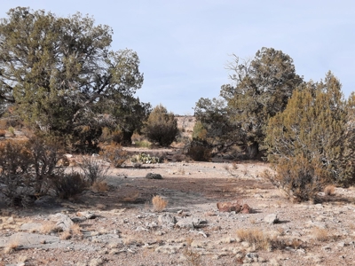 Remote Northern Az Off Grid Propety - image 4