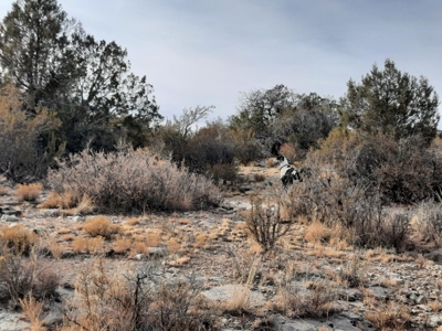 Remote Northern Az Off Grid Propety - image 8