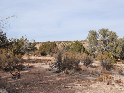 Remote Northern Az Off Grid Propety - image 5