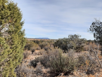 Remote Northern Az Off Grid Propety - image 9