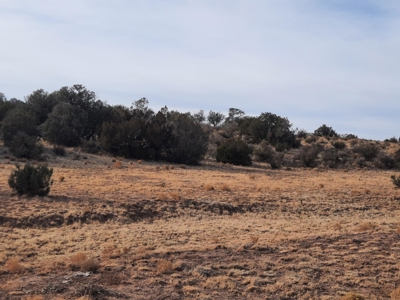 Remote Northern Az Off Grid Propety - image 3