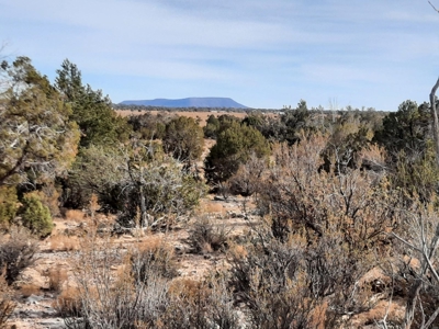 Remote Northern Az Off Grid Propety - image 7