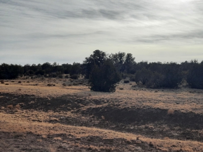 Remote Northern Az Off Grid Propety - image 2