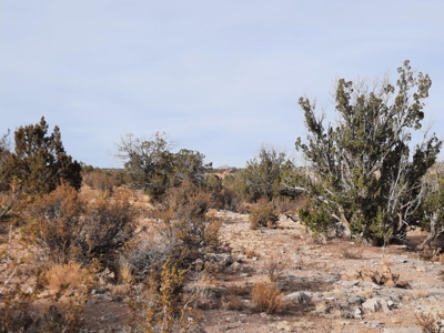 Remote Northern Az Off Grid Propety - image 6