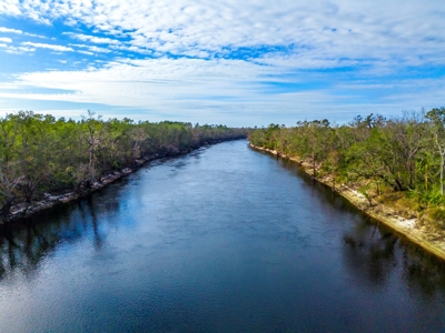 Riverfront Property On 48± Acres for Sale in Live Oak, Florida - image 3