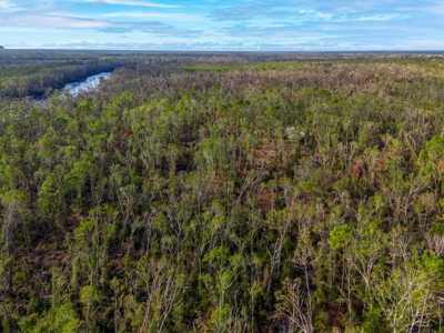Riverfront Property On 48± Acres for Sale in Live Oak, Florida - image 10