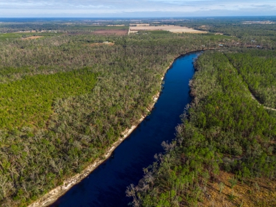 Riverfront Property On 48± Acres for Sale in Live Oak, Florida - image 9