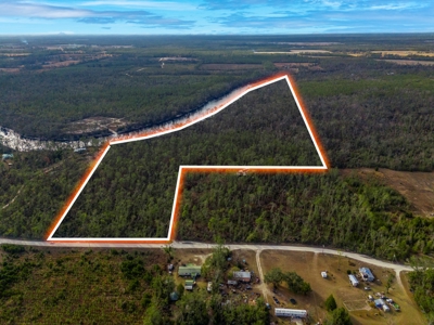 Riverfront Property On 48± Acres for Sale in Live Oak, Florida - image 13