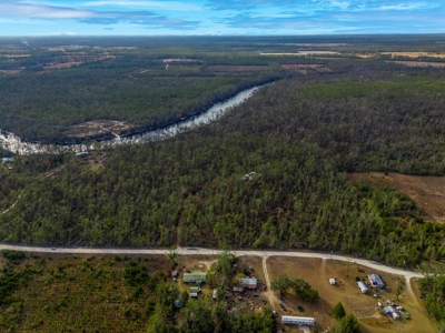 Riverfront Property On 48± Acres for Sale in Live Oak, Florida - image 8