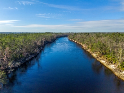 Riverfront Property On 48± Acres for Sale in Live Oak, Florida - image 2