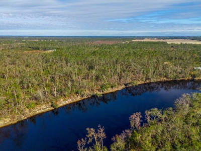 Riverfront Property On 48± Acres for Sale in Live Oak, Florida - image 4