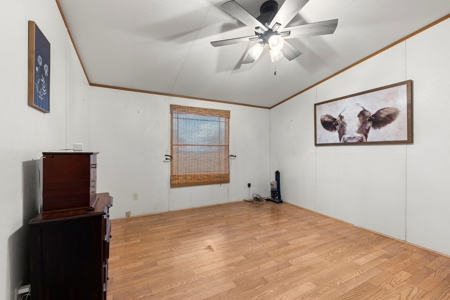 Home on 20 Acres in Nueces County, TX - image 4