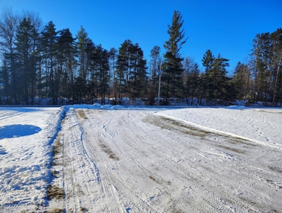 Home with Commercial Building for Sale in Park Falls, WI - image 8