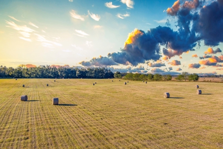 Ranch For Sale In Flroida - image 4