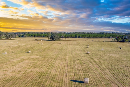 Ranch For Sale In Flroida - image 6