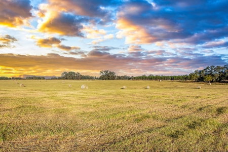Ranch For Sale In Flroida - image 8