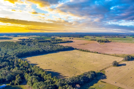 Ranch For Sale In Flroida - image 3