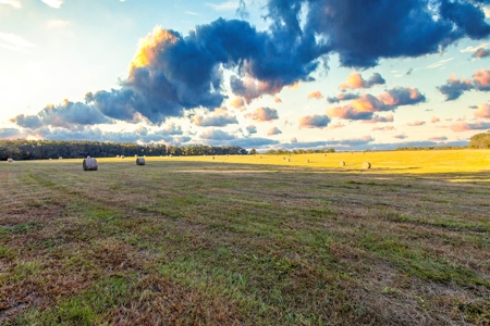 Ranch For Sale In Flroida - image 10