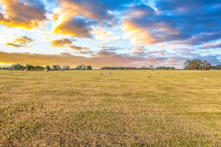 Ranch For Sale In Flroida - image 11