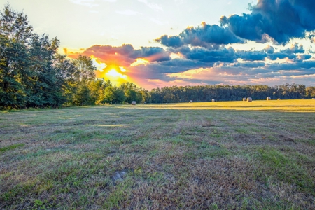 Ranch For Sale In Flroida - image 14