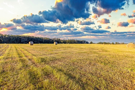 Ranch For Sale In Flroida - image 15