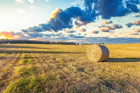 Ranch For Sale In Flroida - image 9
