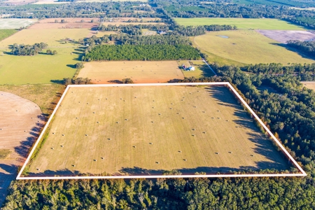 Ranch For Sale In Flroida - image 1