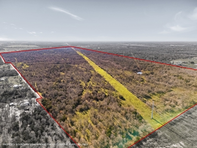 205 Acres in Caldwell County, TX - image 1