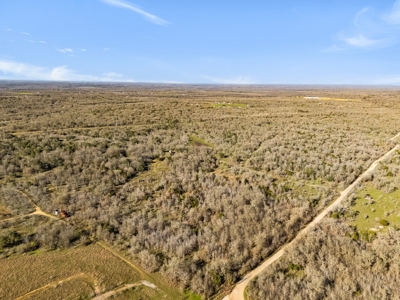 205 Acres in Caldwell County, TX - image 13