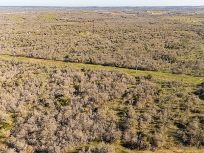 205 Acres in Caldwell County, TX - image 5