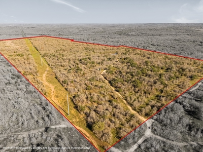 205 Acres in Caldwell County, TX - image 26