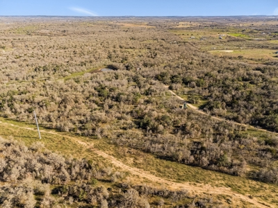205 Acres in Caldwell County, TX - image 8