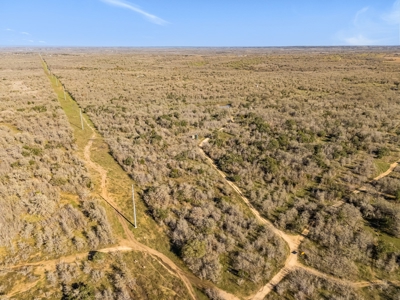 205 Acres in Caldwell County, TX - image 16