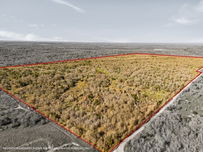 205 Acres in Caldwell County, TX - image 27