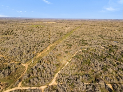 205 Acres in Caldwell County, TX - image 14