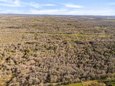 205 Acres in Caldwell County, TX - image 2
