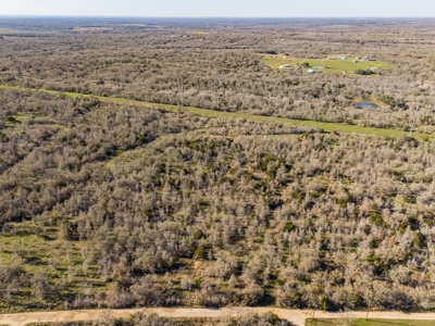 205 Acres in Caldwell County, TX - image 20