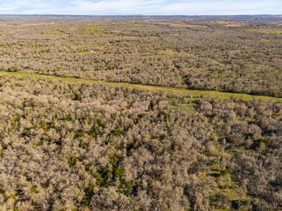 205 Acres in Caldwell County, TX - image 3