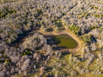 205 Acres in Caldwell County, TX - image 11