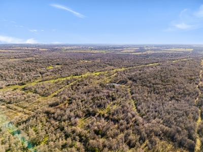 205 Acres in Caldwell County, TX - image 24